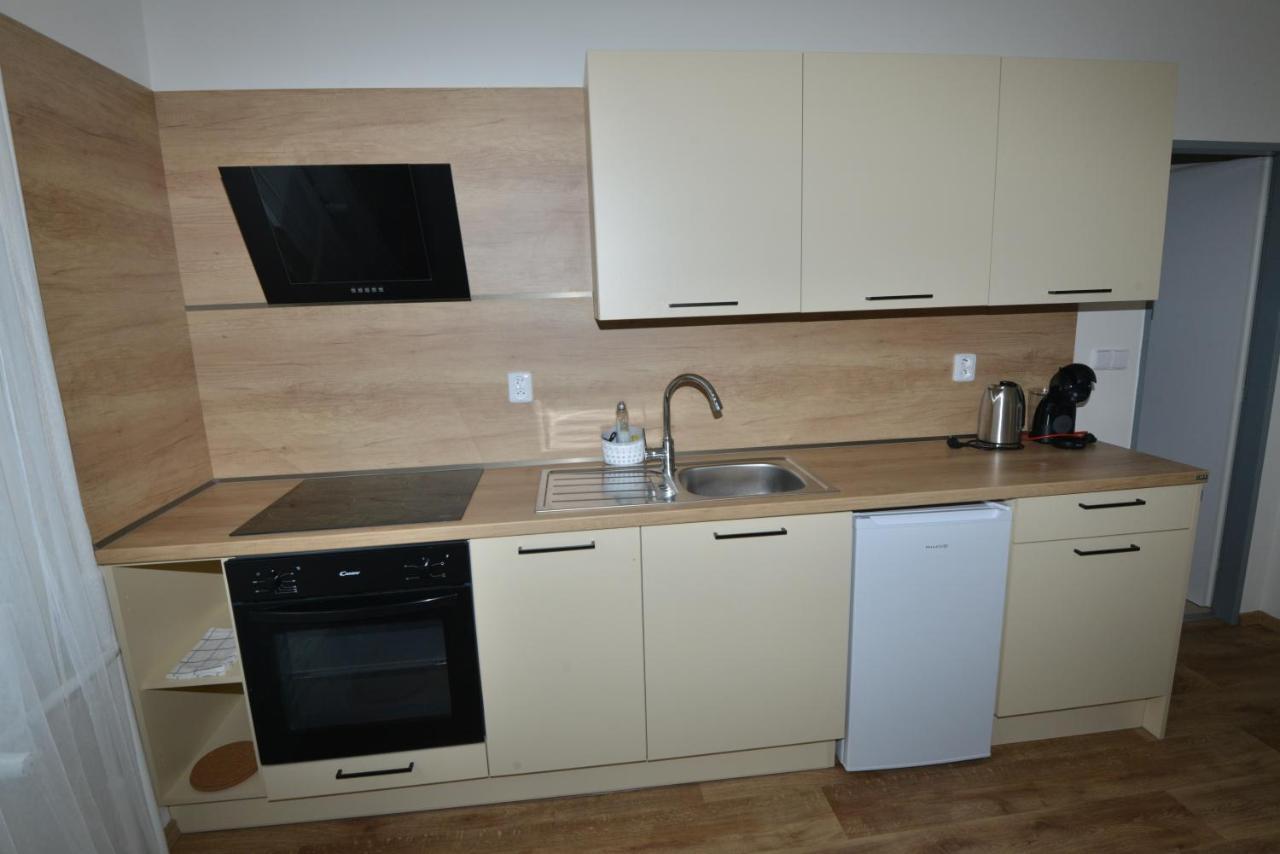 Apartmany U Peslu Železná Ruda エクステリア 写真
