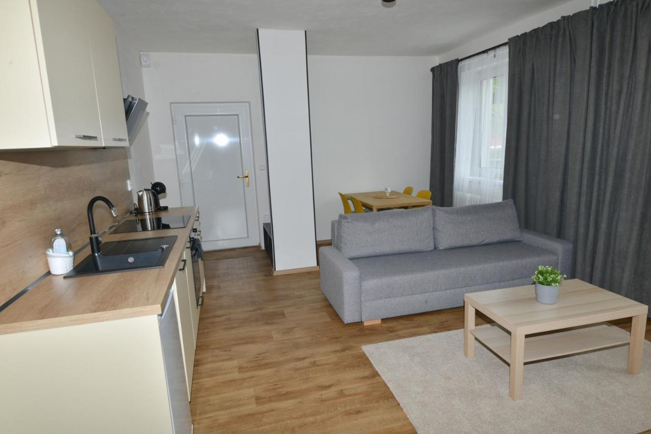 Apartmany U Peslu Železná Ruda エクステリア 写真
